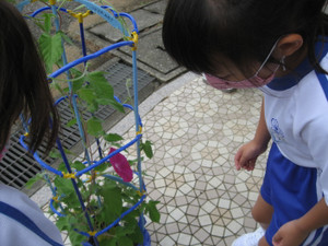 Photo_2