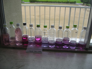 Photo_3
