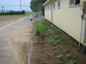 Photo_3