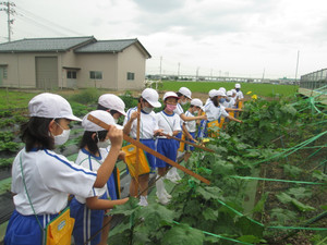 Photo_2