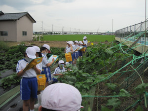 Photo_3
