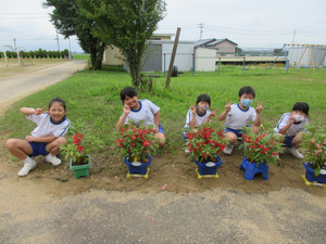 Photo_4