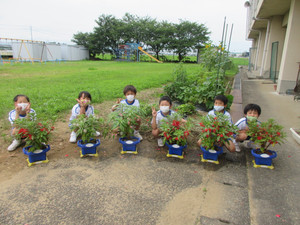 Photo_5