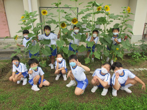 Photo_6