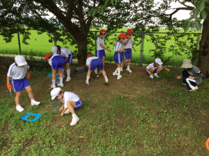 Photo_7