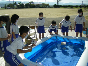 Photo_2