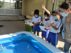Photo_5