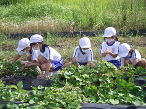 Imgp3201