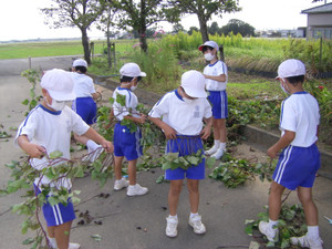 Imgp3214_2